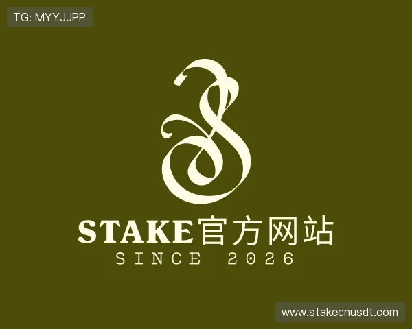 认识Stake官方网站